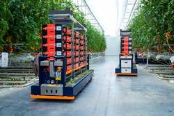 Wielen voor glastuinbouw en horticulture