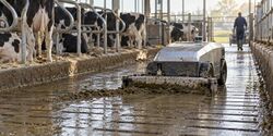 Wielen voor mestverwerking en mestrobots