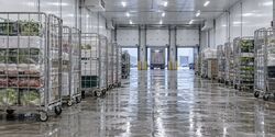 RVS-wielen voor foodlogistiek