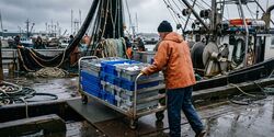 Wielen voor viskratkarren en verwerkingsapparatuur aan boord